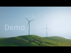 비즈니스 비디오